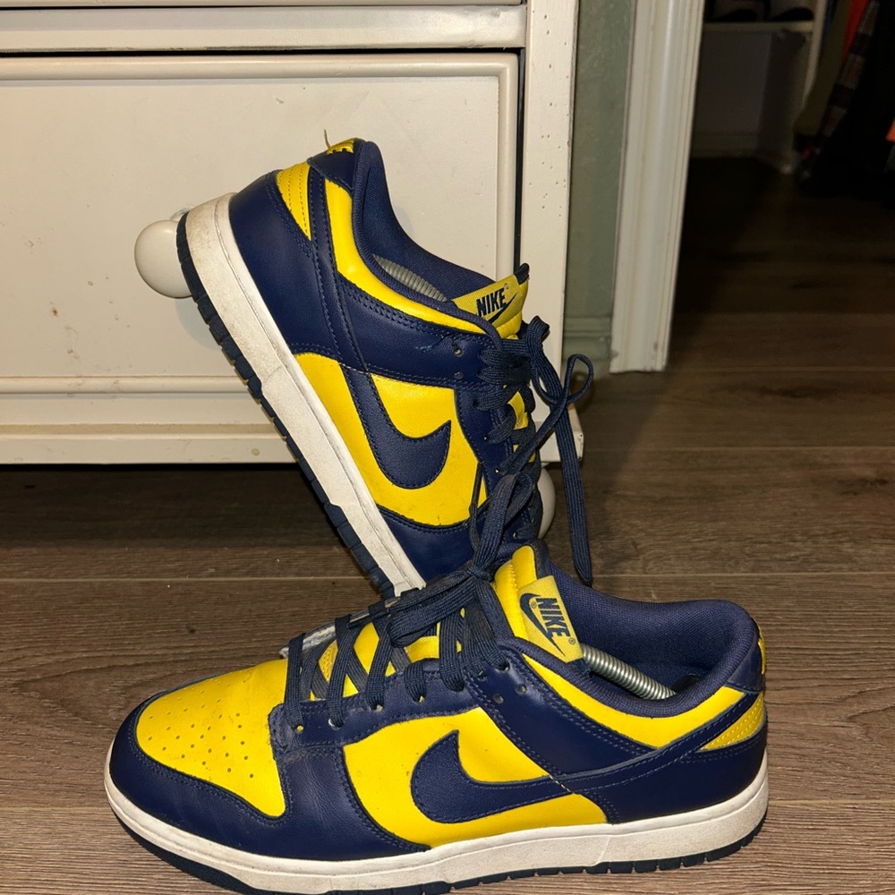Nike Michigan Dunks Sneakers